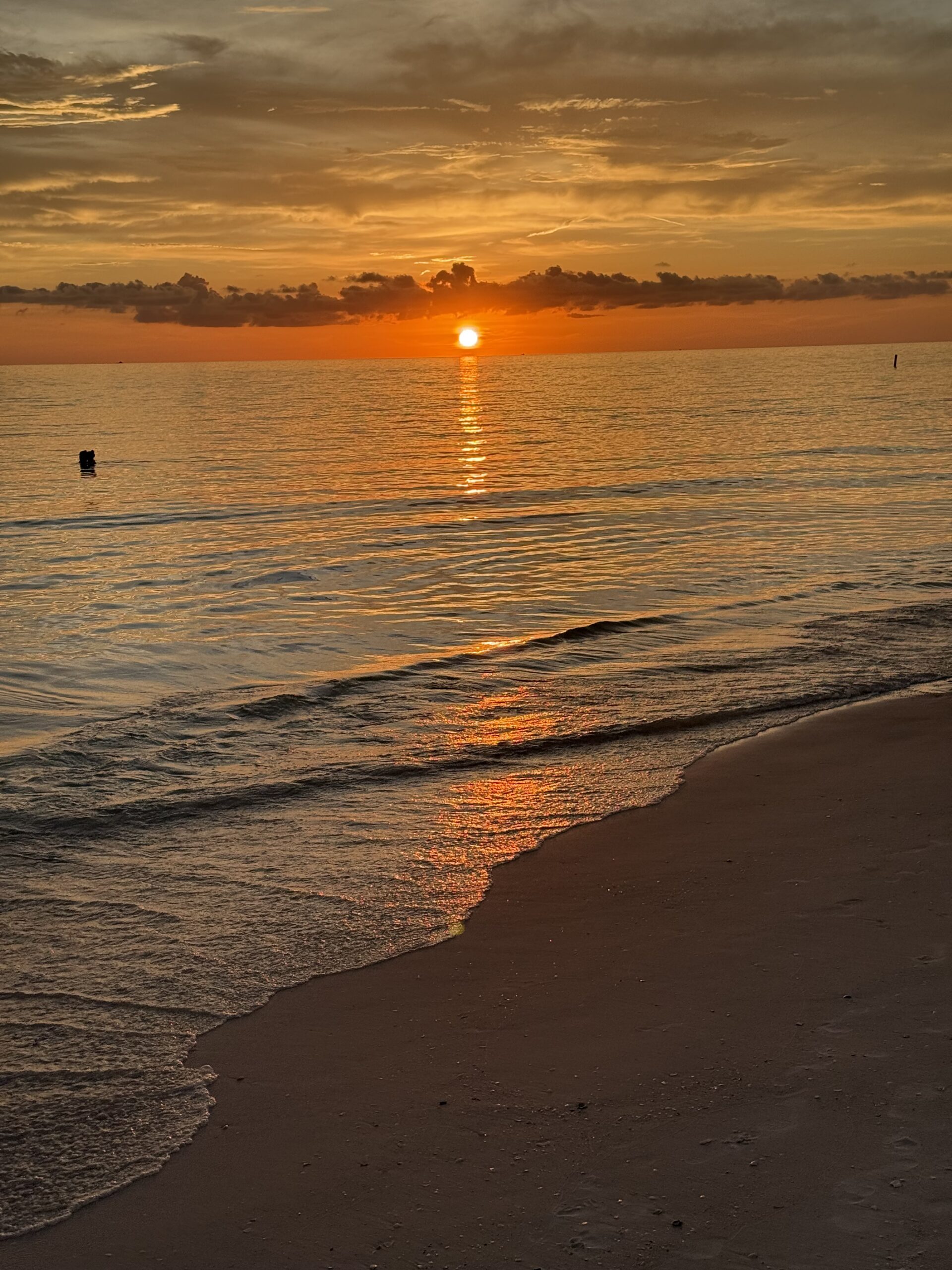Sunset shoreline in Southwest Florida